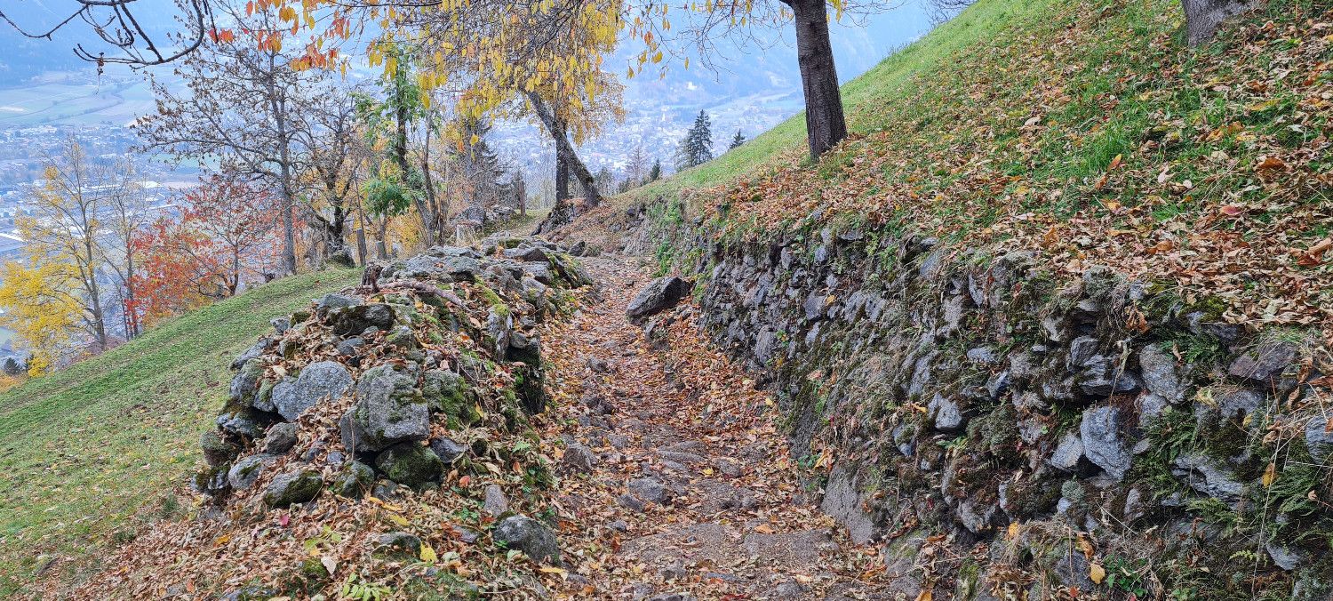 Spaziergang am Waldweg